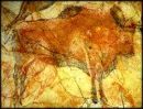 Lascaux Cave Art Bison